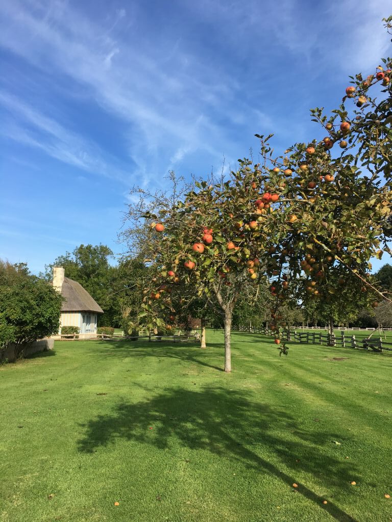 Chaumière Les Peupliers en Normandie, entourée d'arbres fruitiers et d'un vaste jardin verdoyant, sous un ciel bleu.
